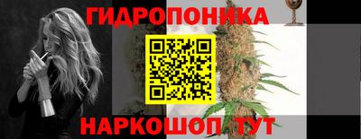 прущие грибы Гусев