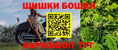 прущие грибы Гусев