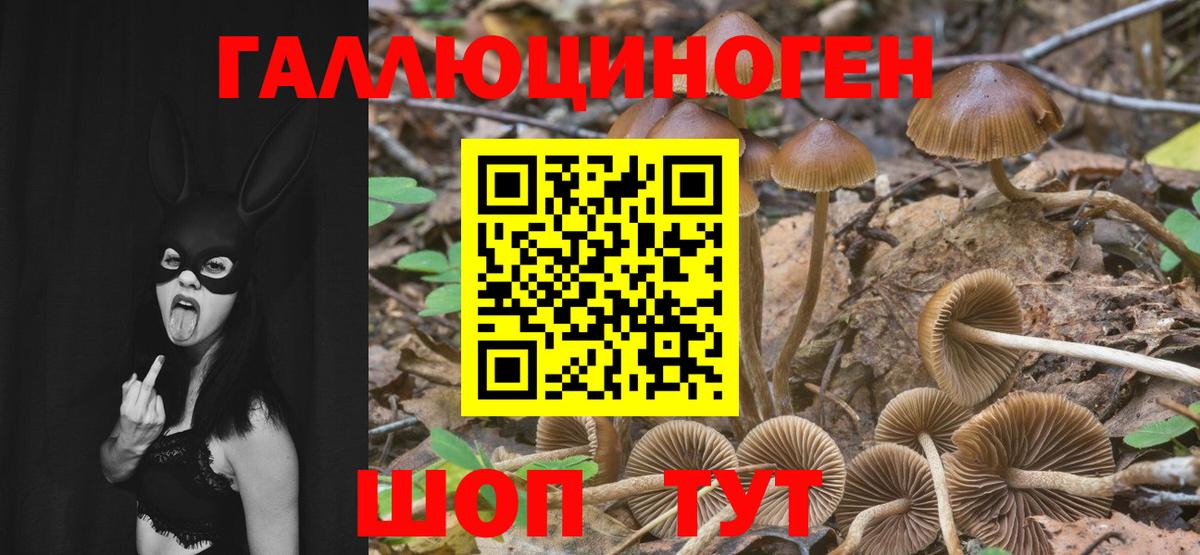 Галлюциногенные грибы мицелий Старая Русса